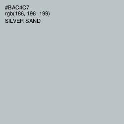 #BAC4C7 - Silver Sand Color Image